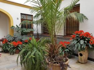 Casa Típica Cordobesa