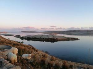 Cosy 2 Bedroom Cottage