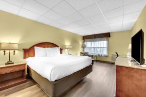 King Room - Pet Friendly room in The Academy Hotel Colorado Springs