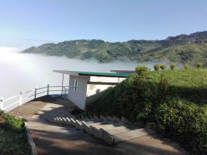 Banchomdoi Resort PhaTang บ้านชมดอยรีสอร์ทผาตั้ง