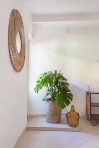 Alojamientos la Vila Mayor 7