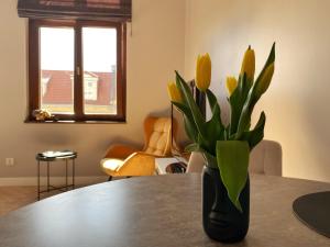 Apartament_poznań CH10