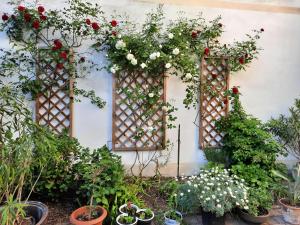 Wohnen beim Uswatta Liyanage