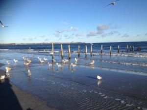 Strandhotel Dünenhaus