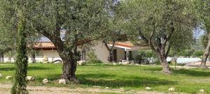 CASA MARE e TRAMONTO w Large Private Pool img15