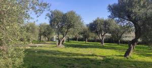 CASA MARE e TRAMONTO w Large Private Pool img61