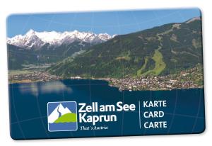 Appartement Pension Albert summercard and free parking included