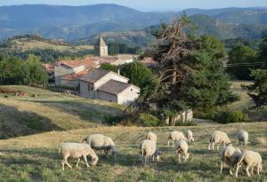 Maisons de vacances Gite de Chapeleche Les Chataigniers : photos des chambres