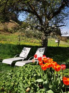 Blumenoase Allgäu