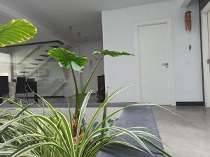 loft CARRASKETA