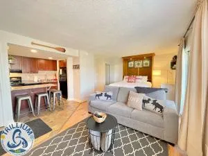 Modern Mountainside Ski In/Ski Out Studio at Blue - Thornbury