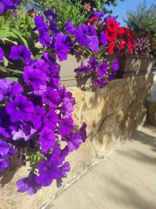 Villa Anthemida Chania