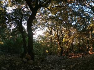 Appartamento a Pula in zona residenziale img29