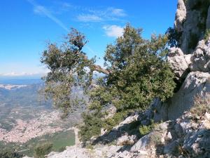 Appartamento a Pula in zona residenziale img32