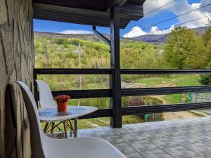 Hill House Valiug Crivaia