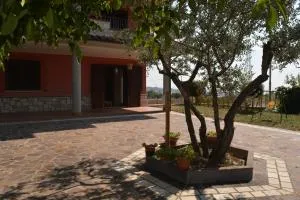 Da Nicolò - Matrice