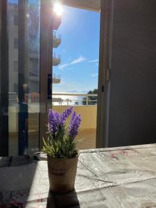 Alimaj Apartments Marina 2