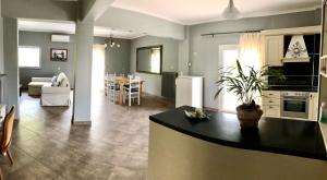 Captain Michalis house