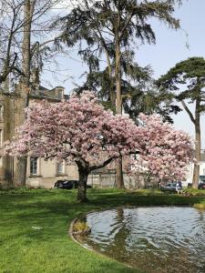 Appartements La Canopee : photos des chambres