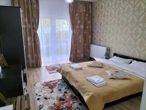 Conacul Doamnei Nucșoara