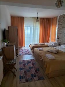 Conacul Doamnei Nucșoara