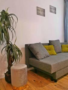 Green Apartment Szczawno Zdrój