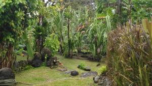 Casa Sophia 3 listings Apartment 1 or Apartment 2 separately or Apt 1 and 2 togetherwith FO internet