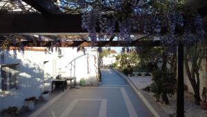 Il Lentischio holiday home img21