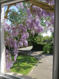 Maisons de vacances Le Gite du Coin - Maison de vacances avec jardin : photos des chambres