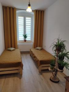 Apartament przy Zamku