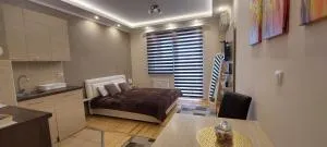 Apartman Studio Niki - Aleksandrovo