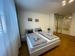 Apartment Green - Grey 
