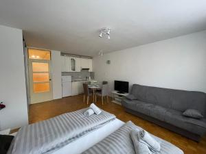 Apartment Green - Grey