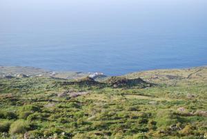 Holiday home Doña Lola