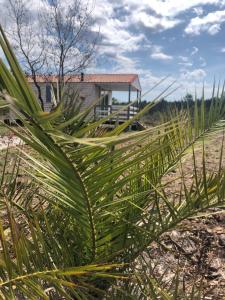 Campings gite mobil landes : photos des chambres