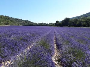 Maisons de vacances Bord Verdon T2 Maisonnette 35m2 Climatisation - Terrasse 25m2-classe 3etoiles : photos des chambres