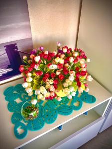 B&B Dionea