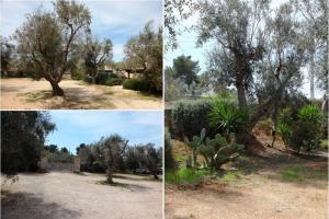 Dimora Li Santi e Casina Matilde