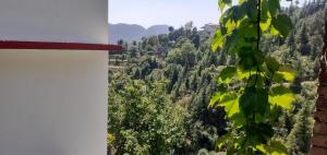 Deep Jyoti Home Stay