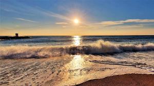 Appartements L'Atalante, 2 pieces 47m2 renove residence piscine : photos des chambres