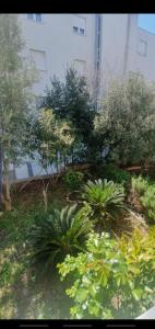 Apartment Diana Split Znjan