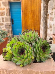 Stone house Goranova kuća