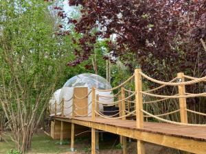 Maisons de vacances Au Domaine du Predieu : photos des chambres