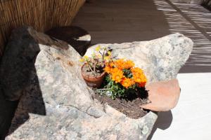 bed and breakfast Murales Orgosolo img55