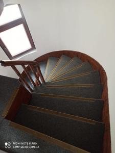 Sunflower Apartments