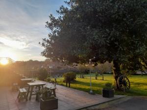 Apartamentos la Higar