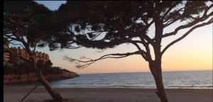 A ESTRENAR PRECIOSOS APARTAMENTOS APARTHOTEL INTER2, NEW APARTMENTS lN APARTHOTEL 12 months open! self check in! RESERVA Garaje!