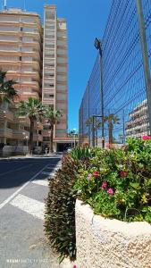 MNG-Apart Playa Americas Honda