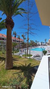 MNG-Apart Playa Americas Honda