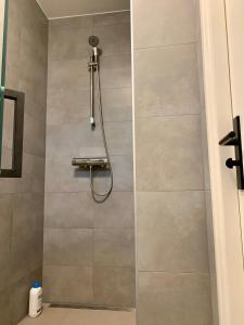 Wilde Moeflon, geniet van de vrije natuur!